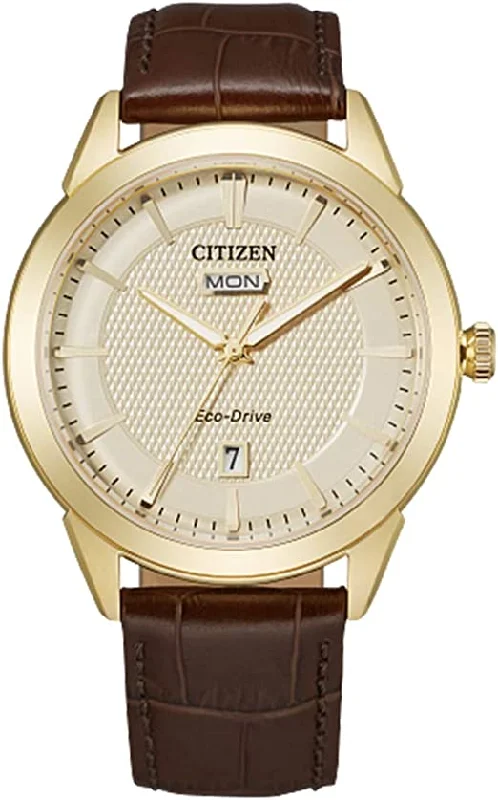 CITIZEN MEN ECO WR100 SSG STRA CHMP AW0092-07Q